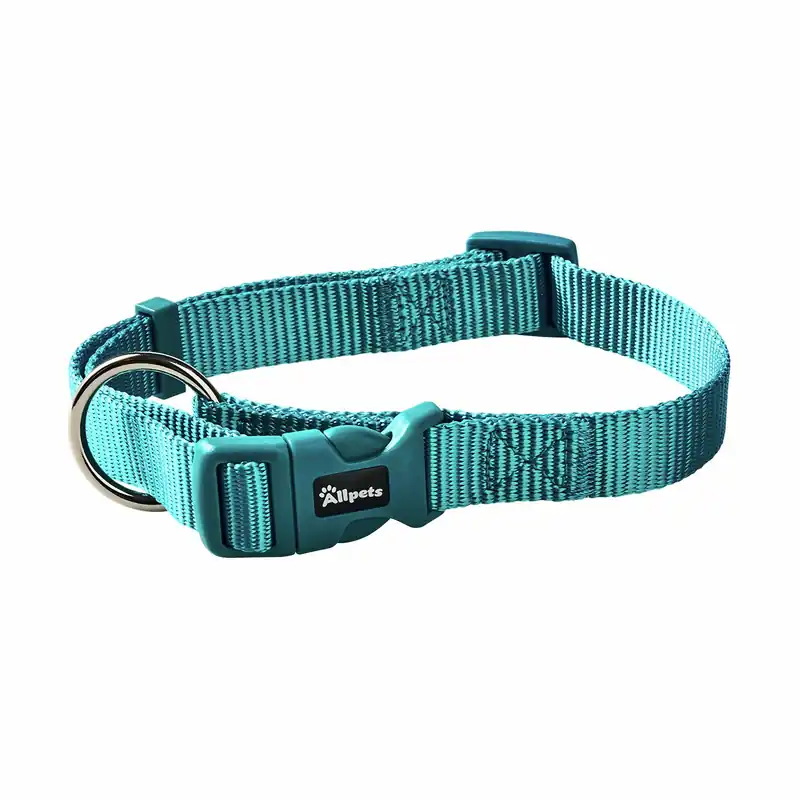 Begrenztes Angebot Allpets Classy Halsband XS–S 22–35 cm / 10 mm türkis